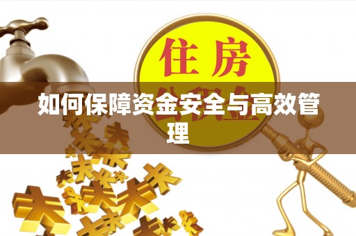 田阳如何保障资金安全与高效管理