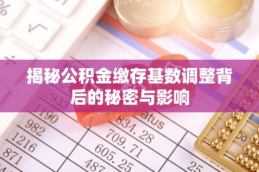 田阳揭秘公积金缴存基数调整背后的秘密与影响