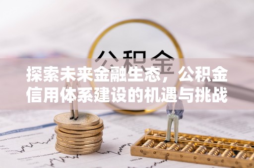 田阳探索未来金融生态，公积金信用体系建设的机遇与挑战