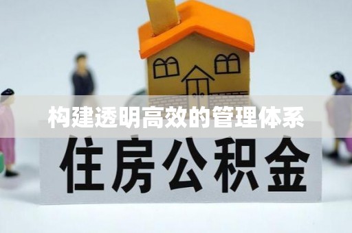 田阳构建透明高效的管理体系