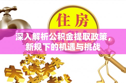 田阳深入解析公积金提取政策，新规下的机遇与挑战