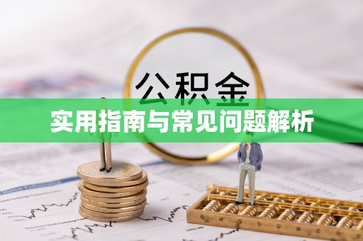 田阳实用指南与常见问题解析