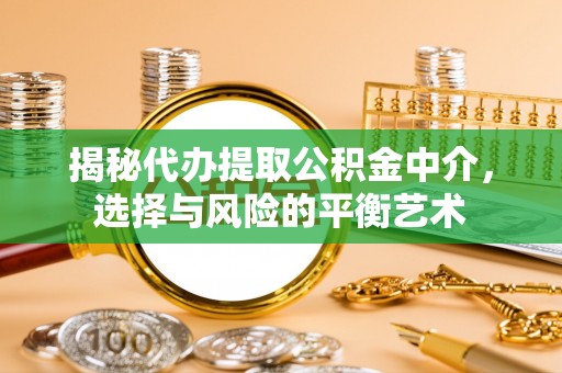 田阳揭秘代办提取公积金中介，选择与风险的平衡艺术