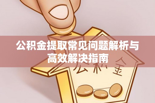 田阳公积金提取常见问题解析与高效解决指南