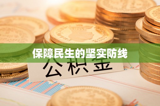 田阳保障民生的坚实防线
