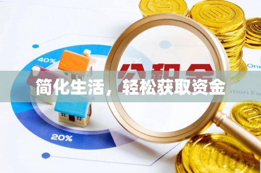 田阳简化生活，轻松获取资金