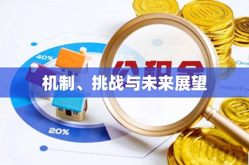 田阳机制、挑战与未来展望